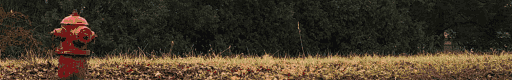 a fire hydrant in front of a row of tall, greened-leafy trees. the ground is scattered in leaves and dead grass