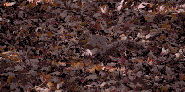 A squirrel standing in leaves. The image only has 19 colours and looks slightly unreal.